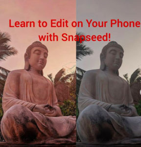How to Use Snapseed Video Explainer | Snapseed Editing