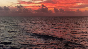 Sunrise at the Beach Phone Wallpaper | Cool Free